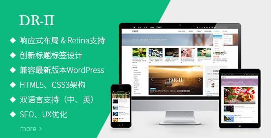 DR-II WordPress主题