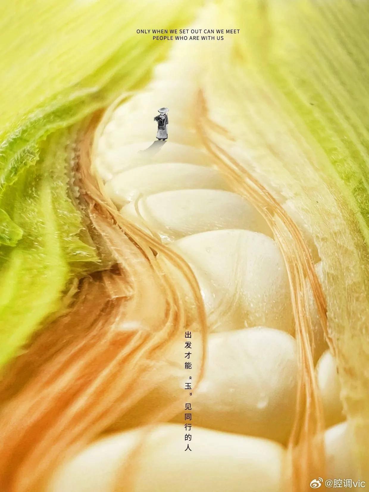 央视都点赞的海报设计，创意与文案让人拍案叫绝！