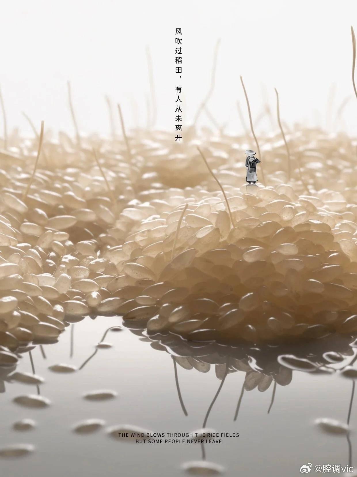 央视都点赞的海报设计，创意与文案让人拍案叫绝！