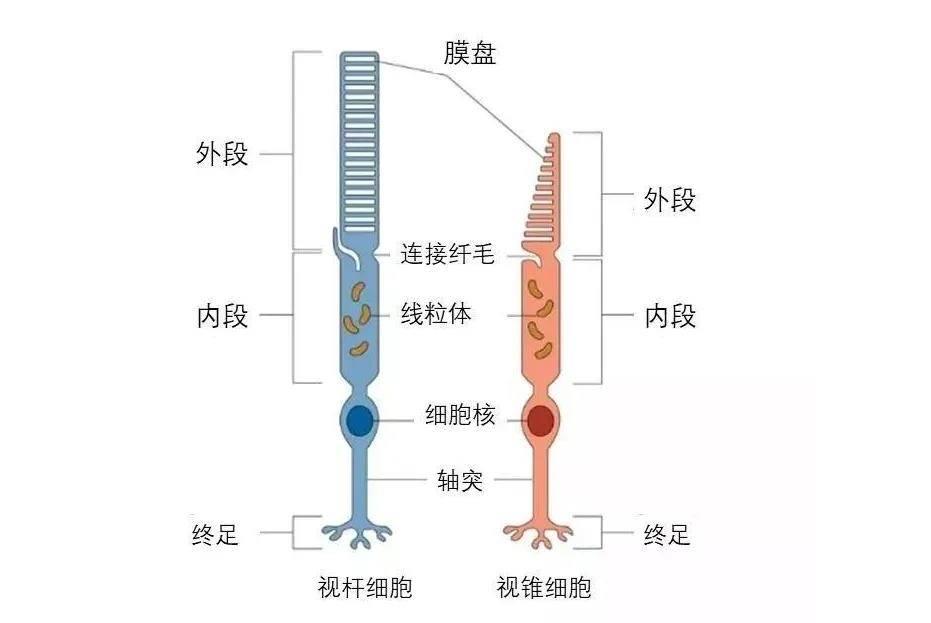 用色如用兵：色彩的故事